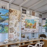 New Beachcomber guide information kiosk